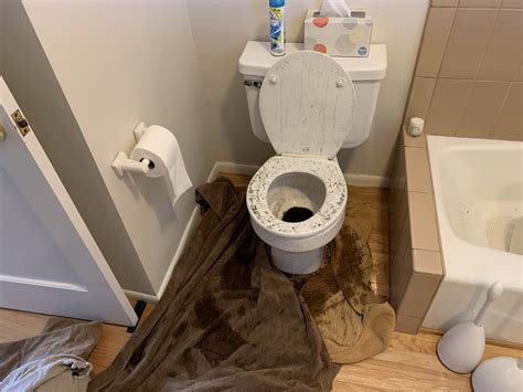 Upstairs Toilet Overflowed And Leaked Through Ceiling[Do’s